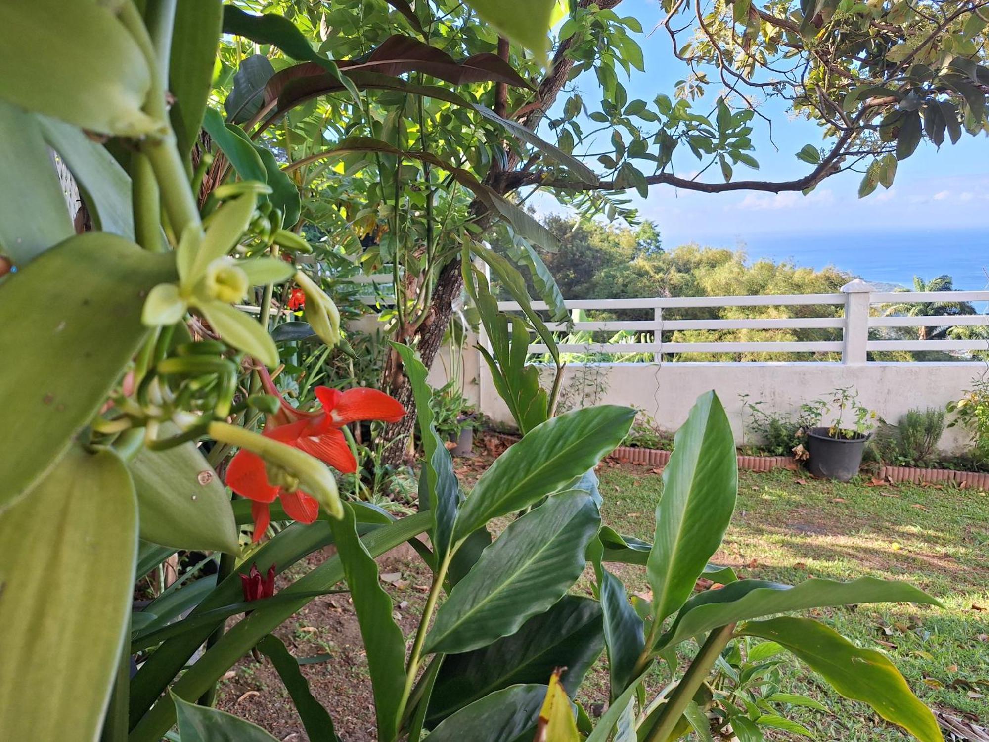 Belavue & Spa Prive, Avec Vue Panoramique Sur Mer, Jardin Creole Paysager, Jacuzzi Prive 波尔兰特 客房 照片